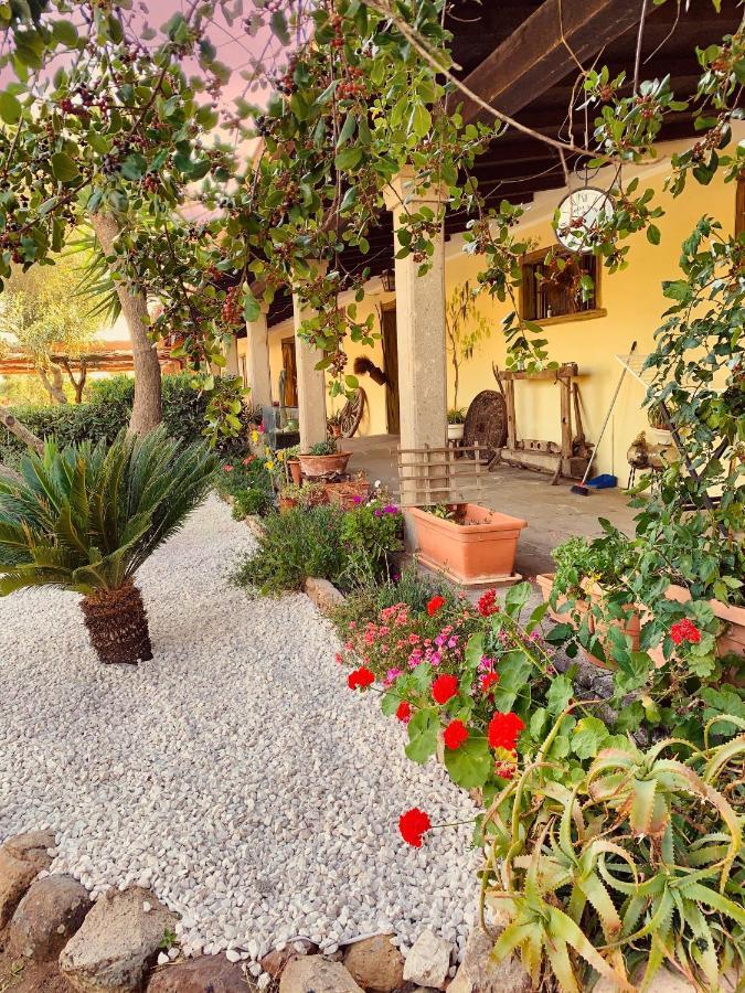 Agriturismo Da Lino Agripizza Villa Samugheo Kültér fotó